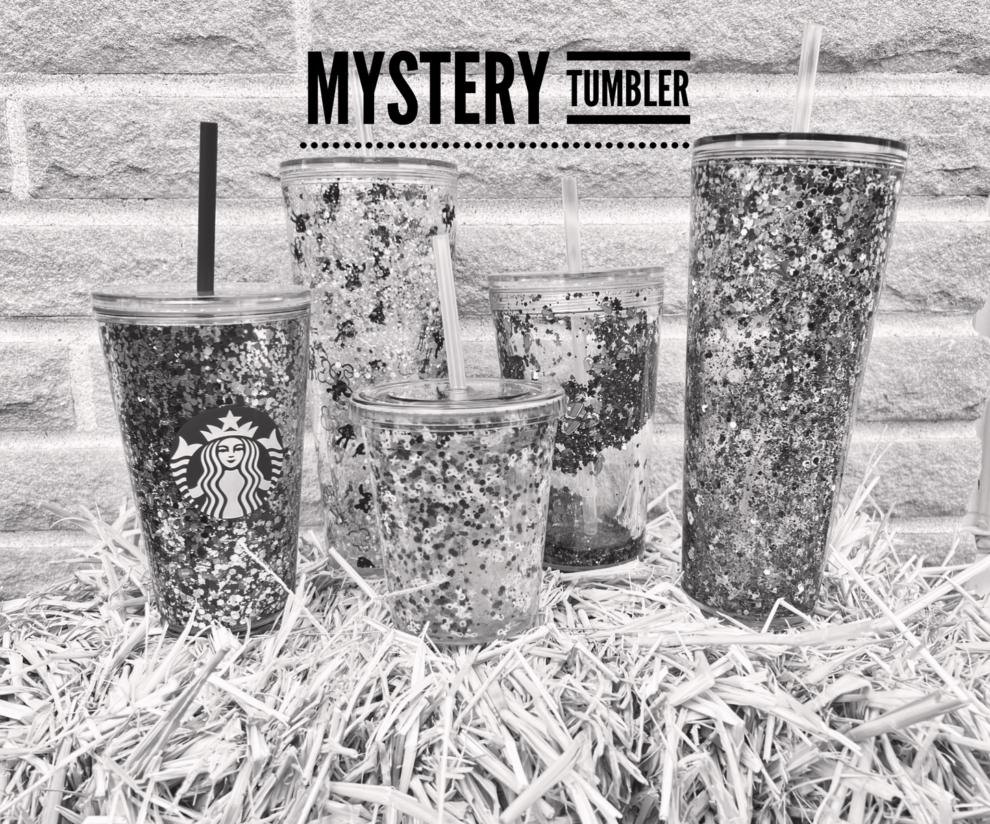 Mystery Snowglobe Tumbler